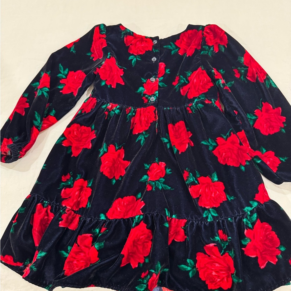 Janie and Jack Black Dress with Red Floral Design